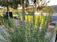 See Stüberl - Kiosk