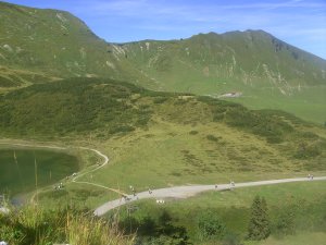 Fellhorn