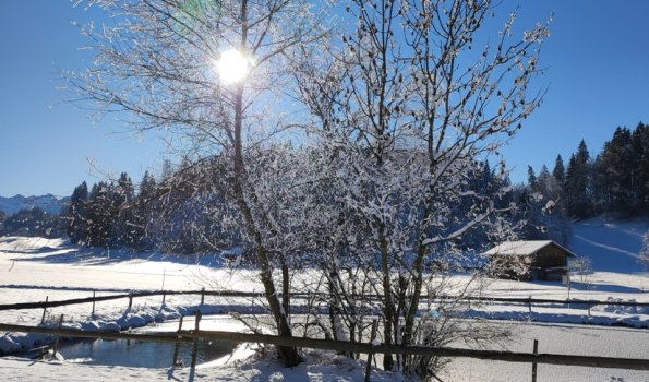 Winterlandschaft Reichenbach