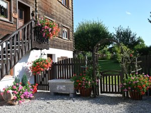 Beim Seffar Blumenpracht