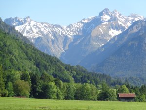 Blick von Reichenbach zur Höfats