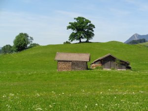 Dreibichel