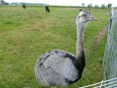 BILD0312