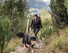 Hundewanderung im Kleinwalsertal