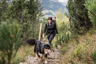 Hundewanderung im Kleinwalsertal