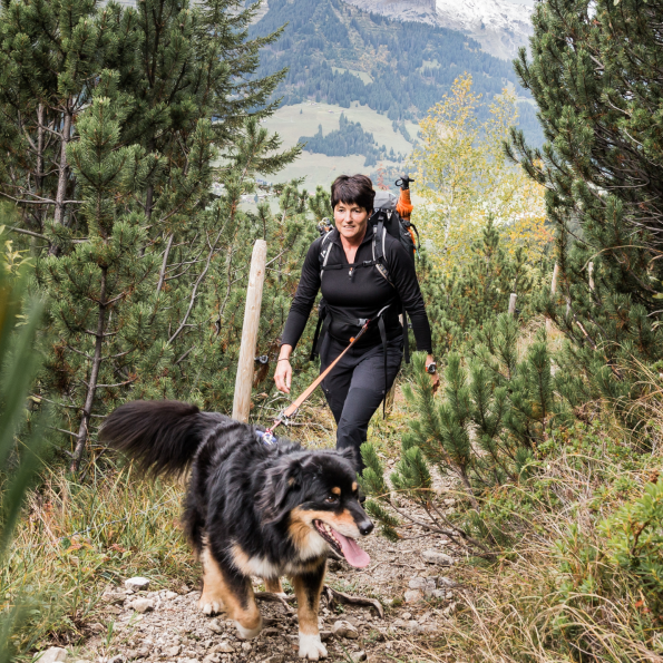 Hundewanderung im Kleinwalsertal