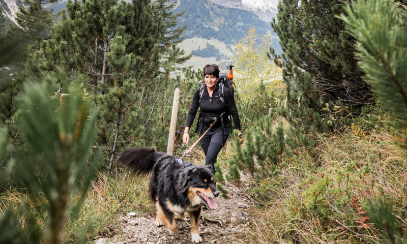 Hundewanderung im Kleinwalsertal
