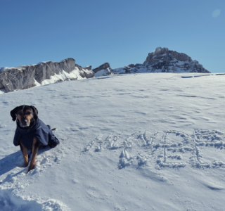 Schneeschuhwandern am Ifen