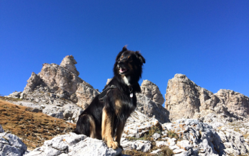 Paul in den Dolomiten