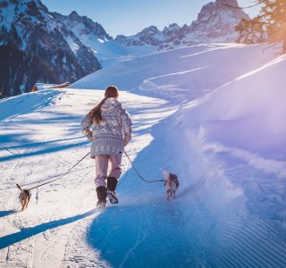 Winterwandern mit Hunden
