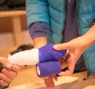 Erste-Hilfe-Kurs-Pfotenverband