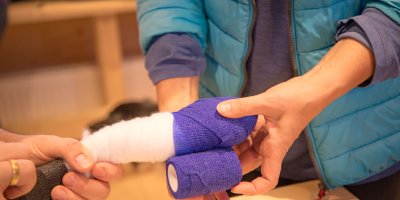 Erste-Hilfe-Kurs-Pfotenverband