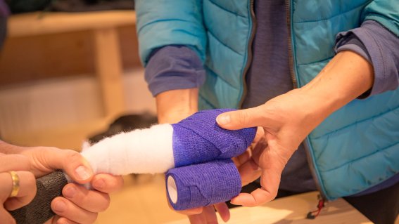 Erste-Hilfe-Kurs-Pfotenverband