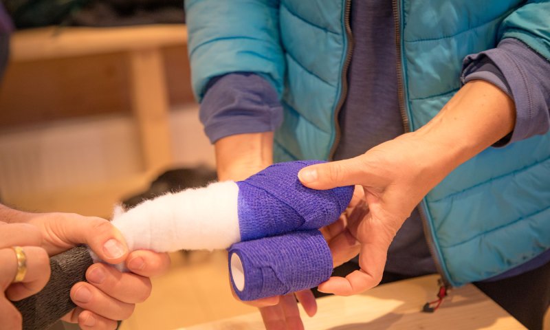 Erste-Hilfe-Kurs-Pfotenverband