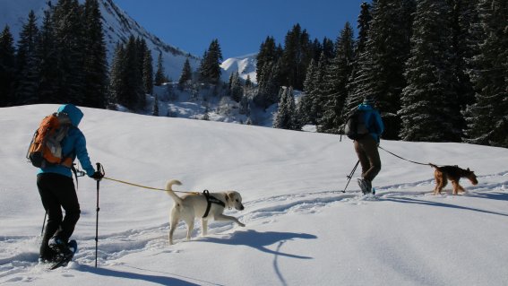 Schneeschuh Einsteiger