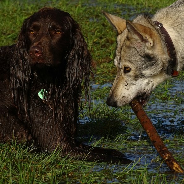 Aldo-houtkamp-D9ozjAPLNsw-unsplash