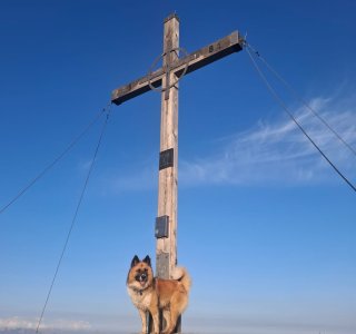 Benjo am Gipfelkreuz
