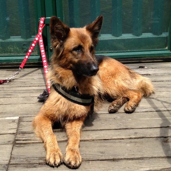 Lara Sabines Herzensbünden Lara