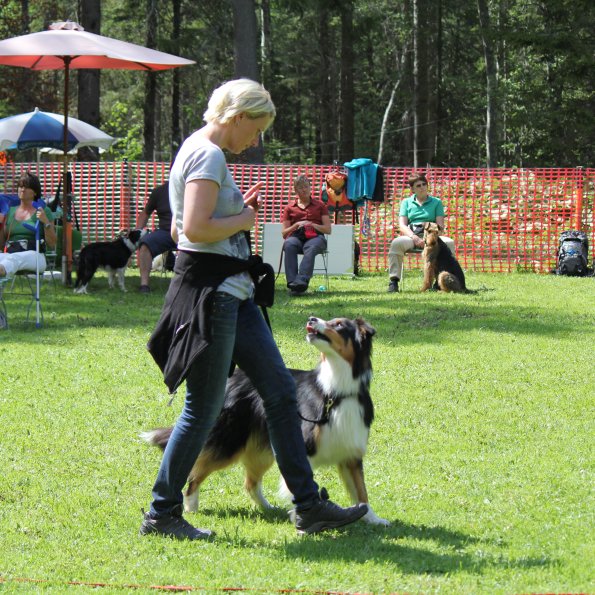 Hundetraining: die Anfänge der Hundewelt Kleinwalsertal Eine Bekannte von Sabine trainiert mit einem Hund.