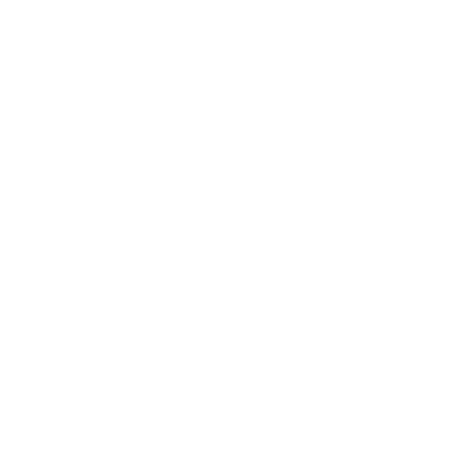 Logo-icon-weiss