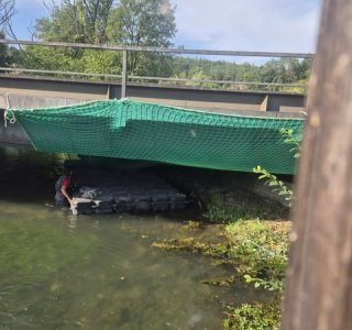 Brücke