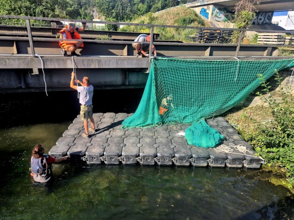 Ein Team arbeitet an einer Brücke. Sie fixieren ein Netz über Wasser. Es ist warm und sonnig.