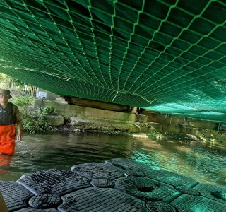 Ein Mann mit orangefarbener Kleidung steht im Wasser unter einer Brücke. Um ihn herum sind Platten und Pflanzen.