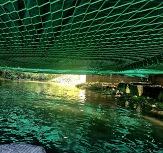 Das Bild zeigt eine Sicht auf das Wasser unter einem Netz. Am Ufer wachsen Pflanzen. Es ist Tageslicht.