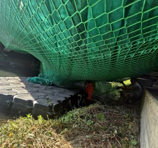 Ein Netz ist über eine kleine Wasserfläche gelegt. Ein Weg führt neben dem Wasser. Gras und Pflanzen wachsen am Ufer.