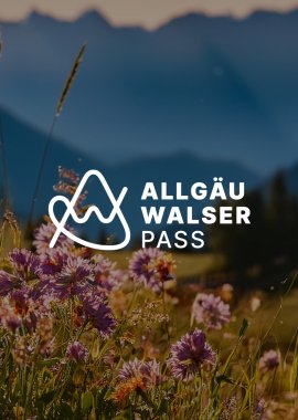 Allgaeu-walser-pass-header-02