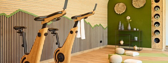 Der Raum zeigt zwei Trainingsgeräte in einem modernen Raum. Es gibt auch Matten und Dekoration an den Wänden.