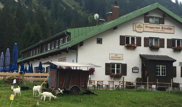 Berggasthof Seealpe-19