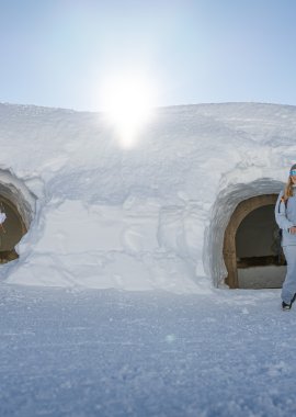 21 - DSC04461