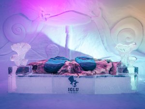Iglu Suite