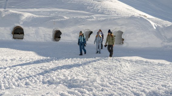 Iglu