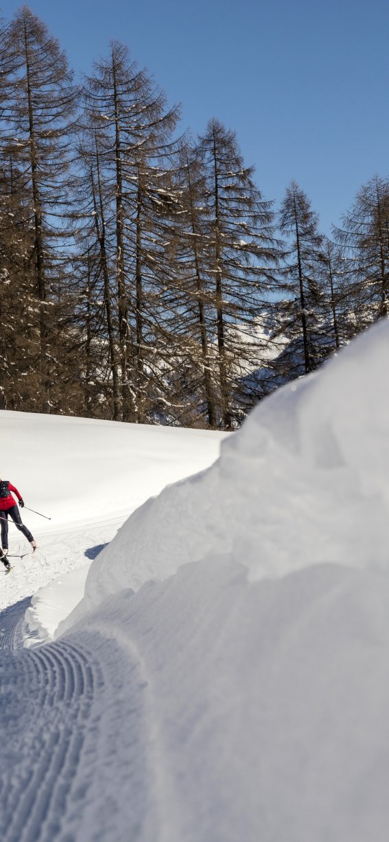 Zwei Skifahrer gleiten durch frisch präparierte Loipen in einer verschneiten Winterlandschaft unter blauem Himmel.