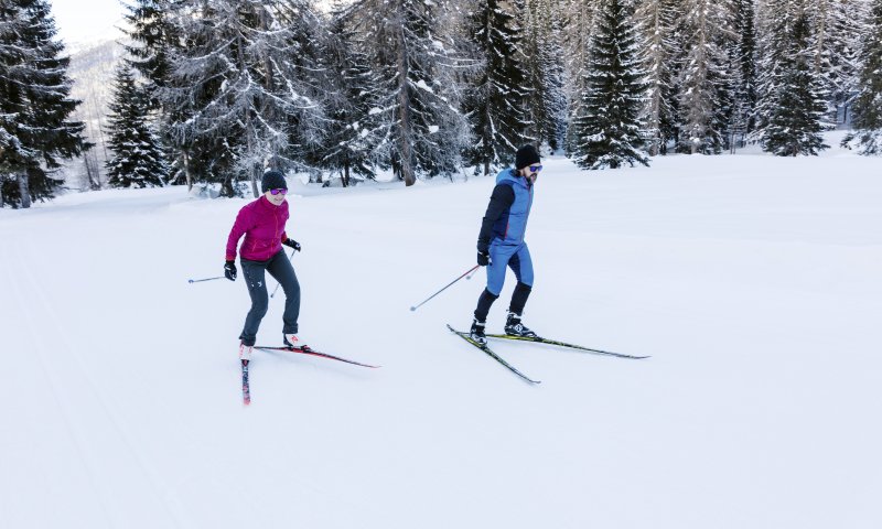 Zwei Personen skifahren im verschneiten Wald. Die Sonne scheint auf die weißen Pisten und die Bäume.