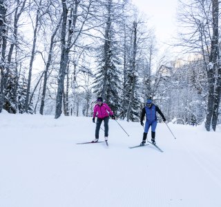 Zwei Skifahrer gleiten im Winter durch einen schneebedeckten Wald. Die Umgebung ist ruhig und friedlich.