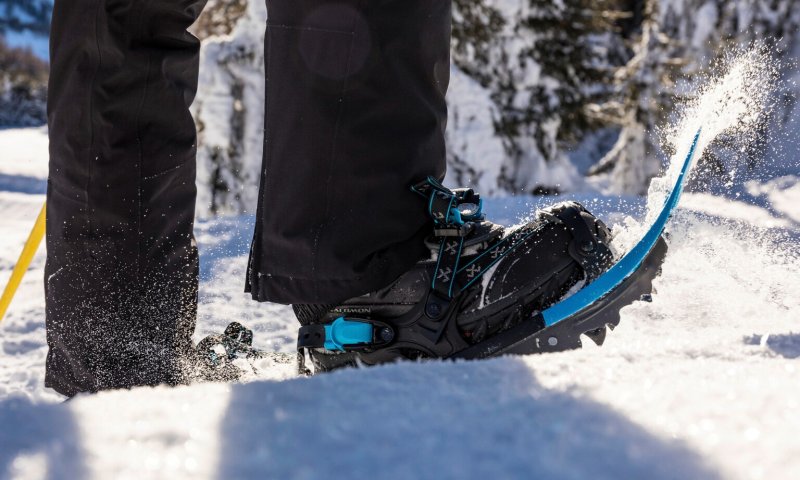 Eine Person wandert mit Schneeschuhen durch den Schnee. Die Sonne scheint und die Bäume sind mit Schnee bedeckt.