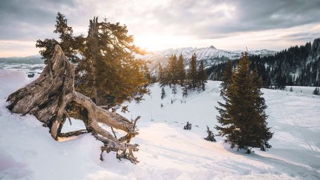 Winterlandschaft auf der Alpspitze in Nesselwang