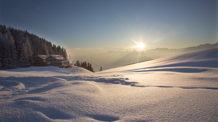 Naturidylle Sportheim Böck mit den Böck Lodges