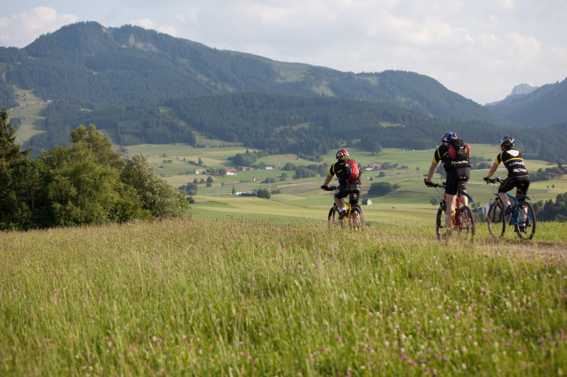 fahrrad gepcktrger mit schutzblech ROCKBROS Fahrrad Gepcktrger mit Reflektor und Schutzblech  Aluminiumlegierung