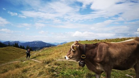 Wandern an der Alpspitze