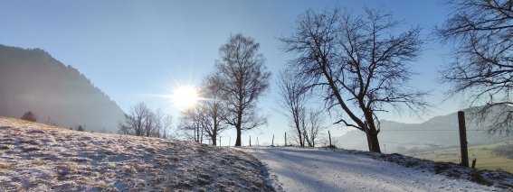 Wanderung von Wagneritz zur Alpe Kalkhöf am Grünten, Rettenberg im Winter und Schnee