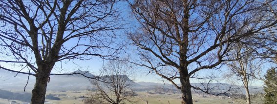 Allgäuer Winterlandschaft am Grünten Vorderburg, wandern, genießen, Erholung pur.