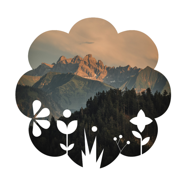 Teaser test2
