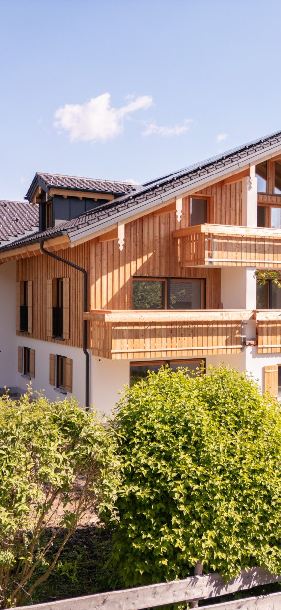 Maisel nimmt Gestalt an
