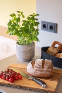 Auf einem Küchentisch liegt frisches Brot neben Kirschtomaten und einem Topf mit Basilikum. Im Hintergrund sind Brötchen sichtbar.