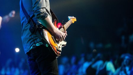 Audience-1835431 1920