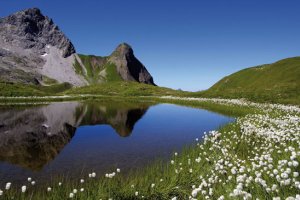 Stillachtal galerie 17